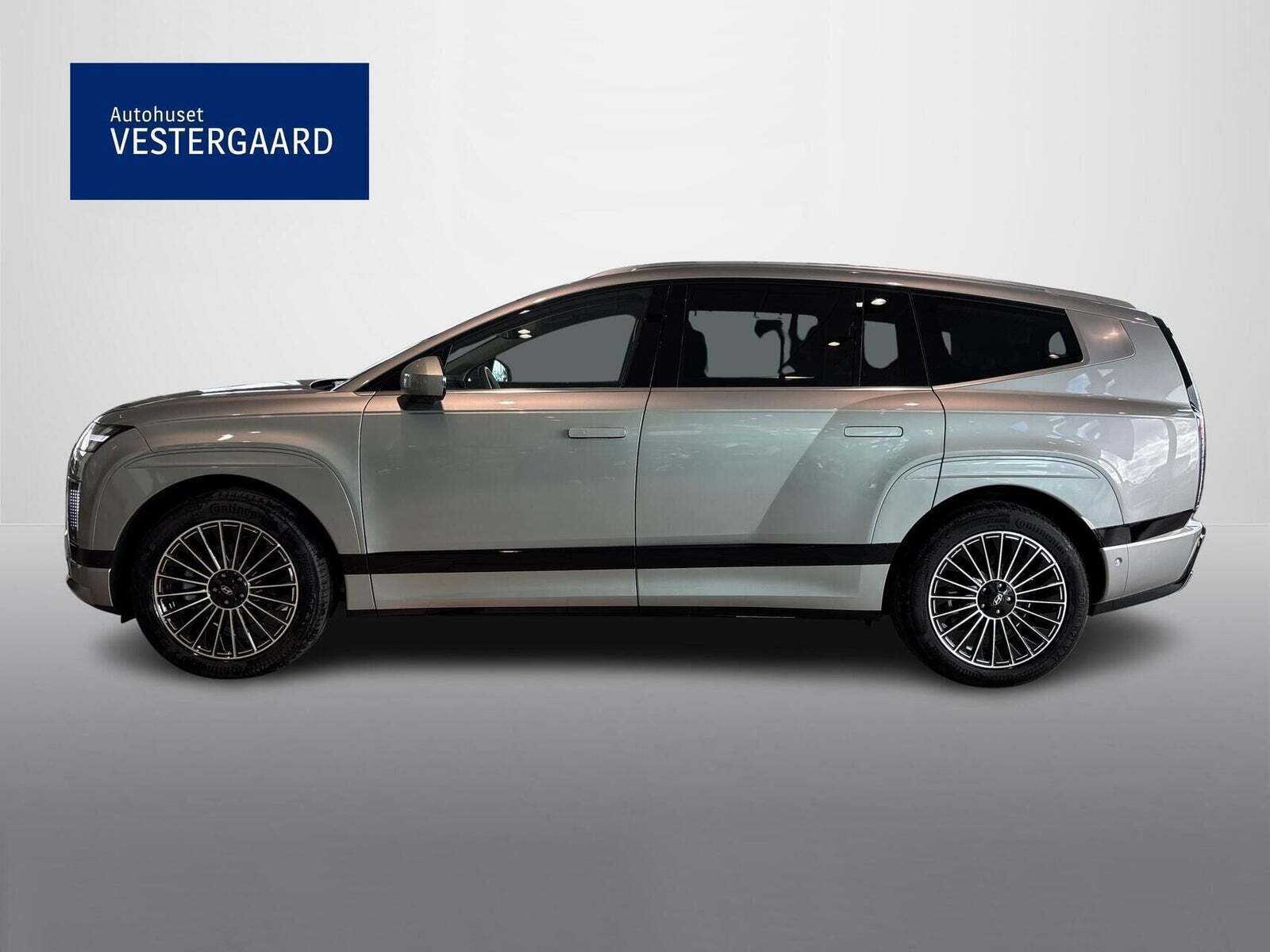 Hyundai Ioniq 9 110 Calligraphy Performance 4WD 7prs