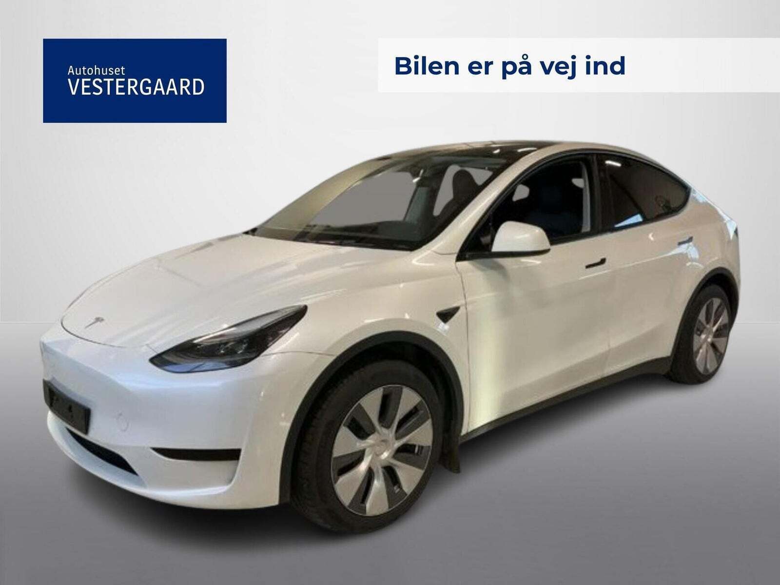 Tesla Model Y RWD