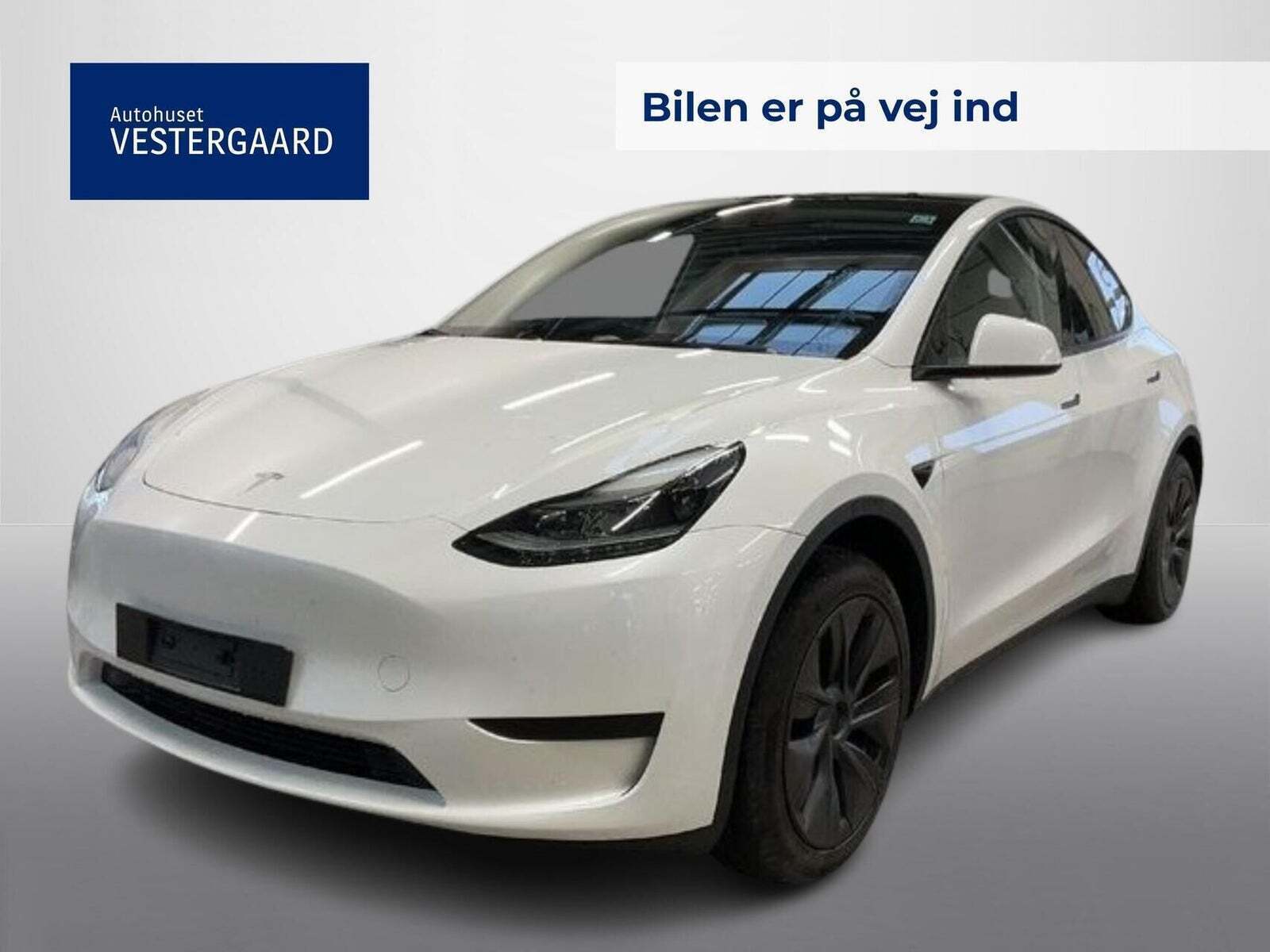 Tesla Model Y RWD