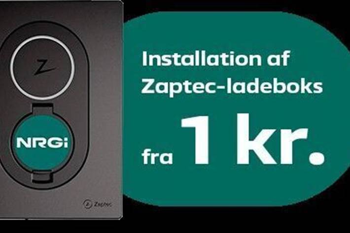 Grå Nissan Leaf fra 2021