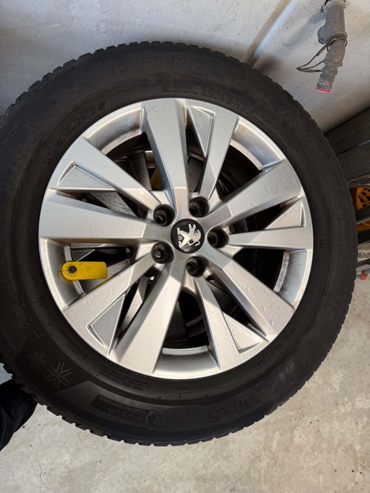 Grøn Peugeot 5008 fra 2019