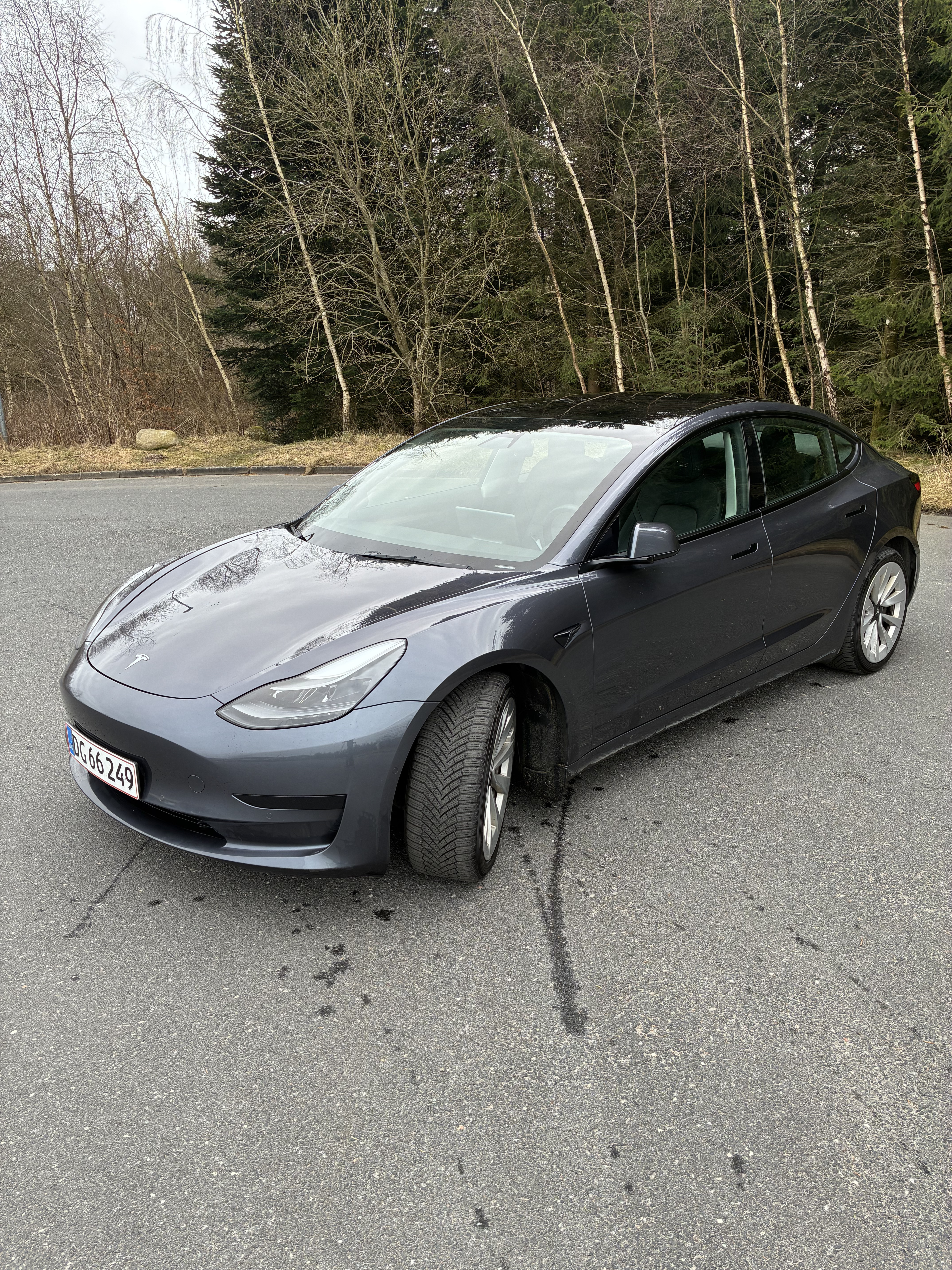 Tesla Model 3 239kW