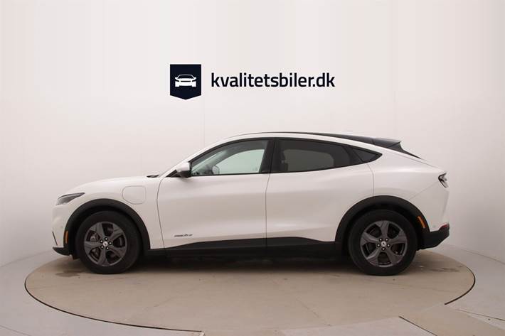Hvid Ford Mustang Mach-E fra 2022