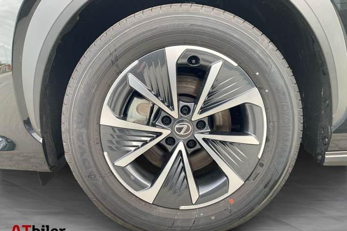 Sort Lexus RZ fra 2025