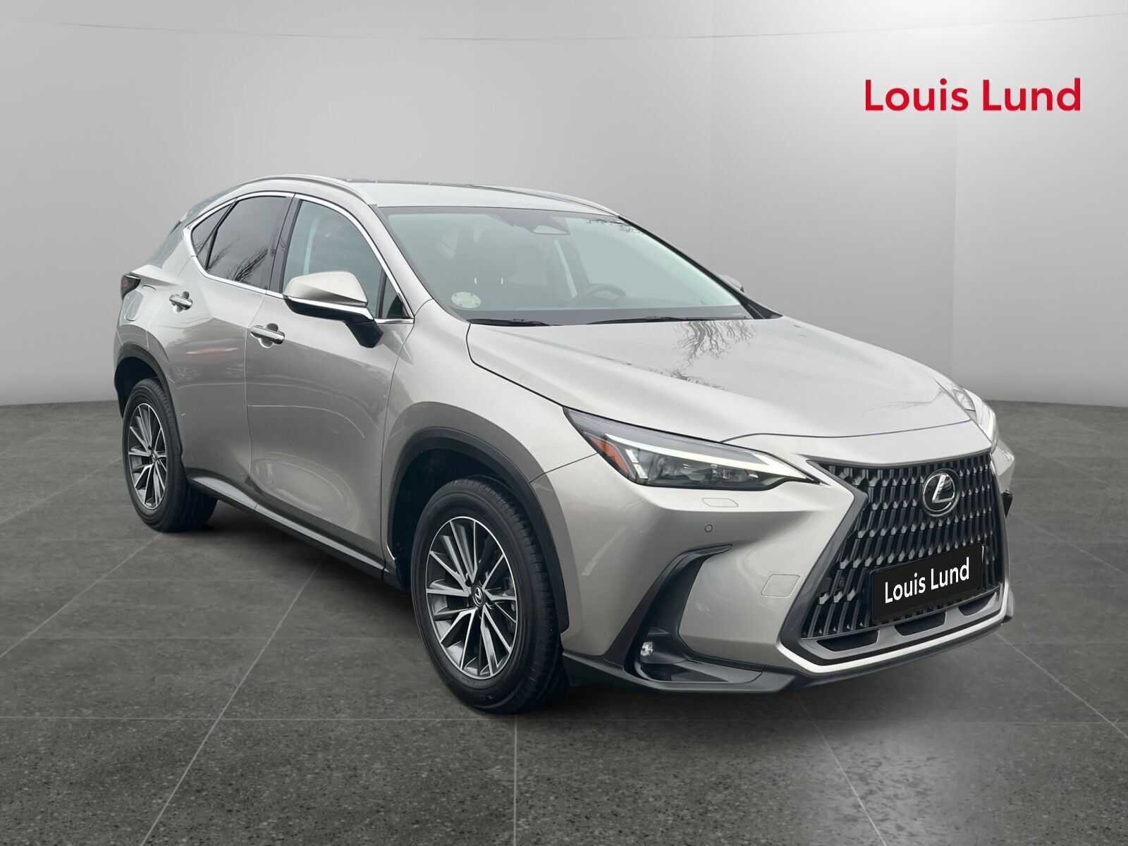 undefined Lexus NX fra 2024