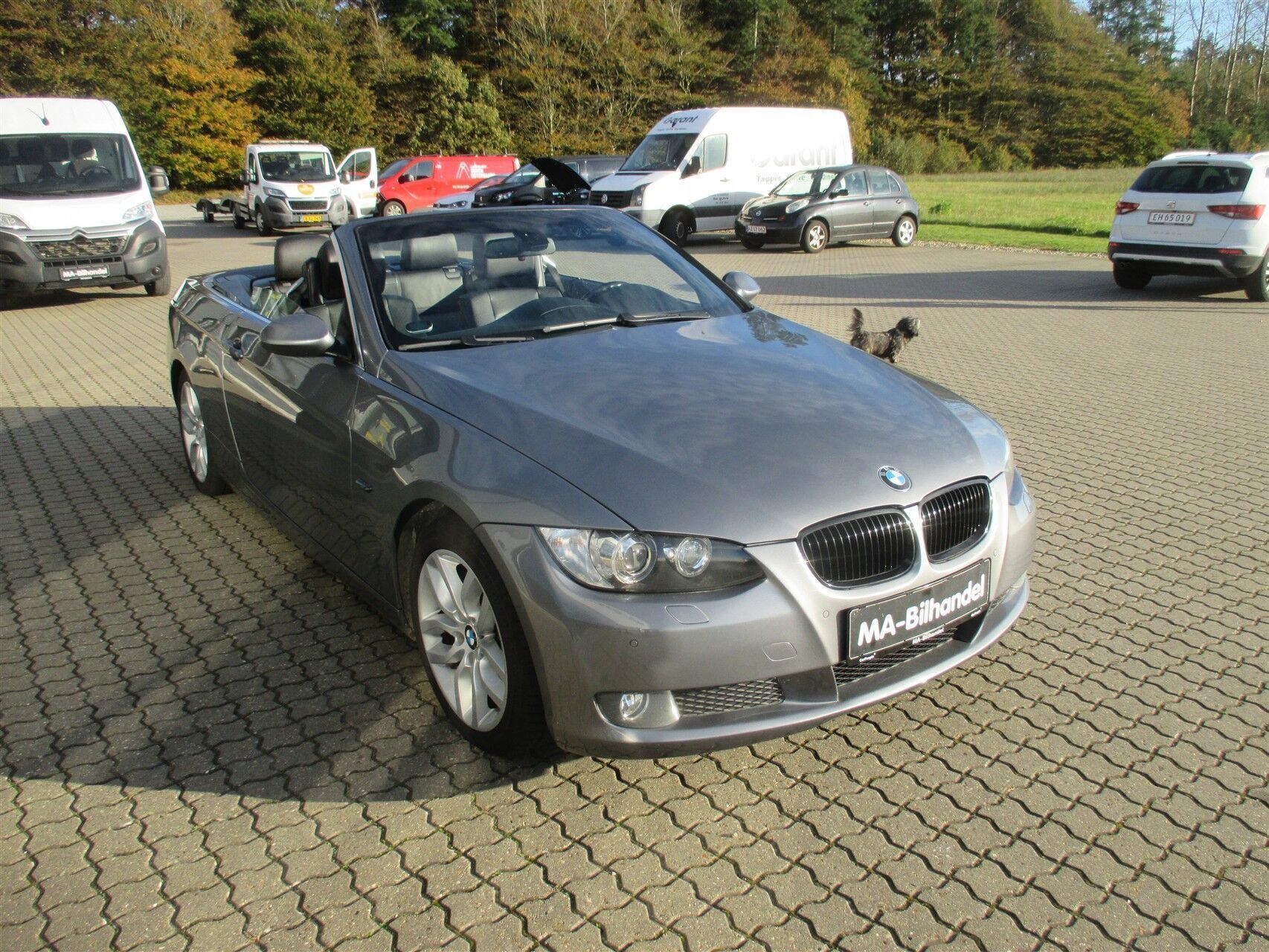 BMW 330d 3,0 D 231HK Cabr. 6g Aut.