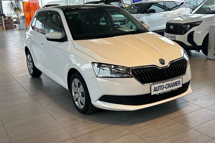 Hvid Skoda Fabia fra 2019