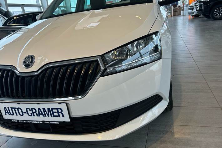 Hvid Skoda Fabia fra 2019