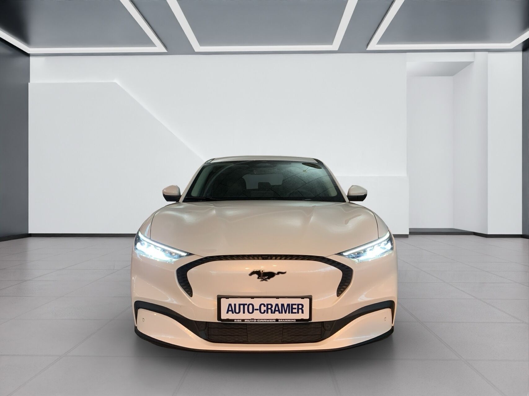 Ford Mustang Mach-E EL UR 294HK 5d Aut.