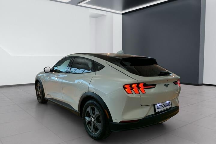 Hvid Ford Mustang Mach-E fra 2021