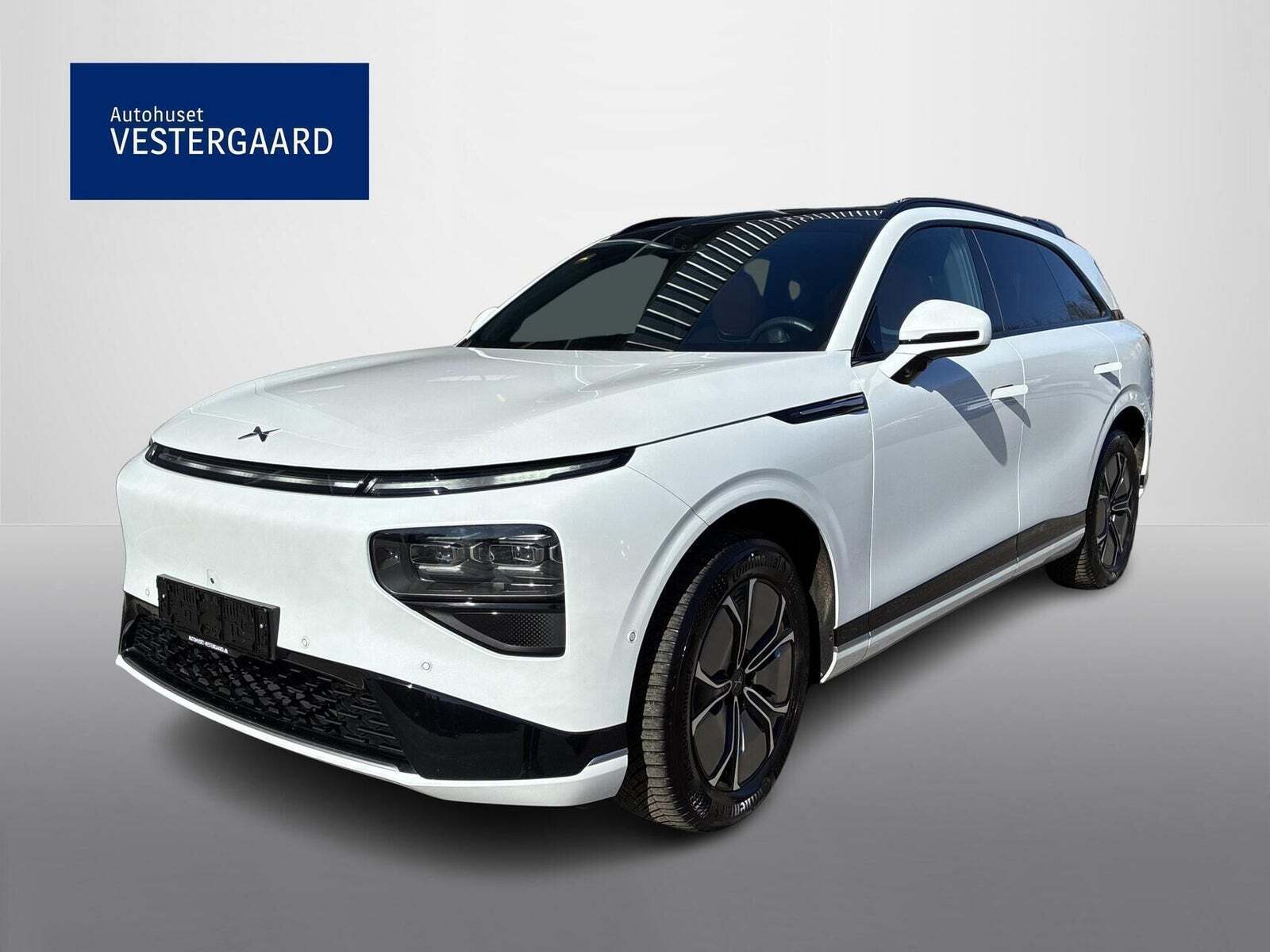 Xpeng G9 Standard Range