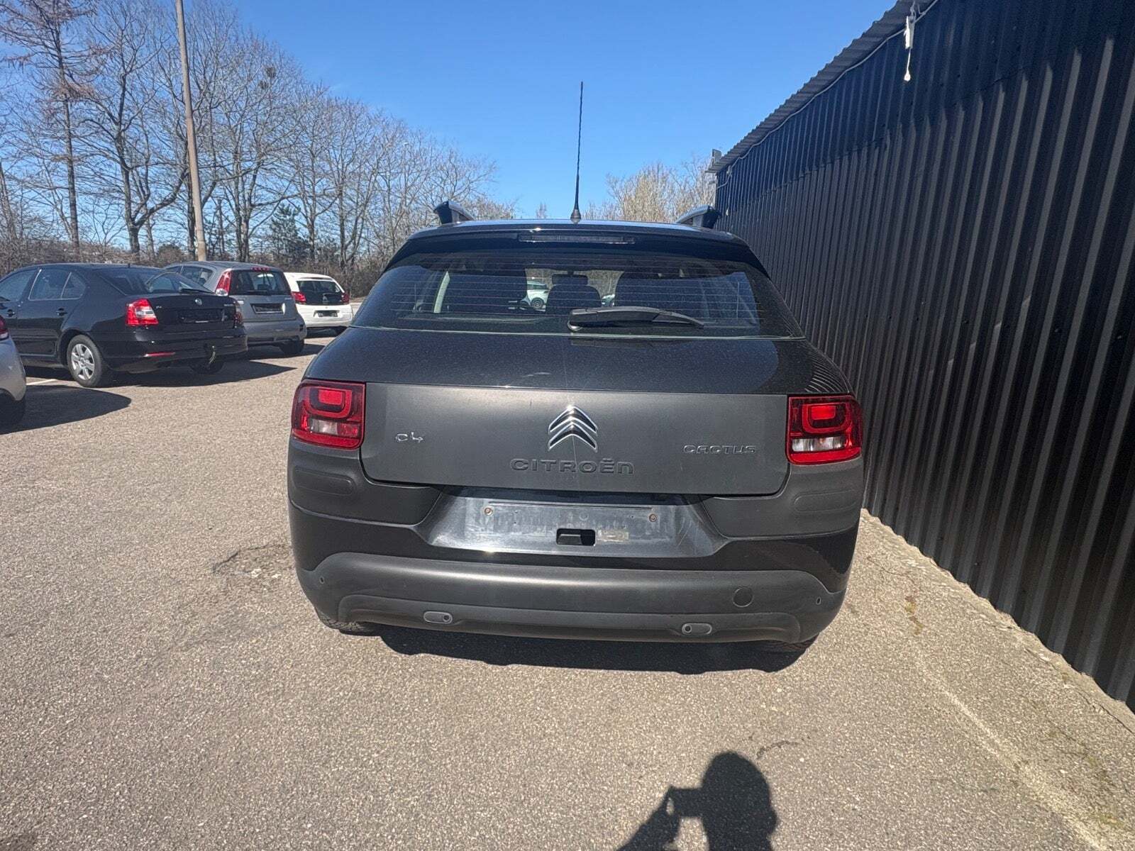 Citroën C4 Cactus 1,6 BlueHDi 100 Challenge