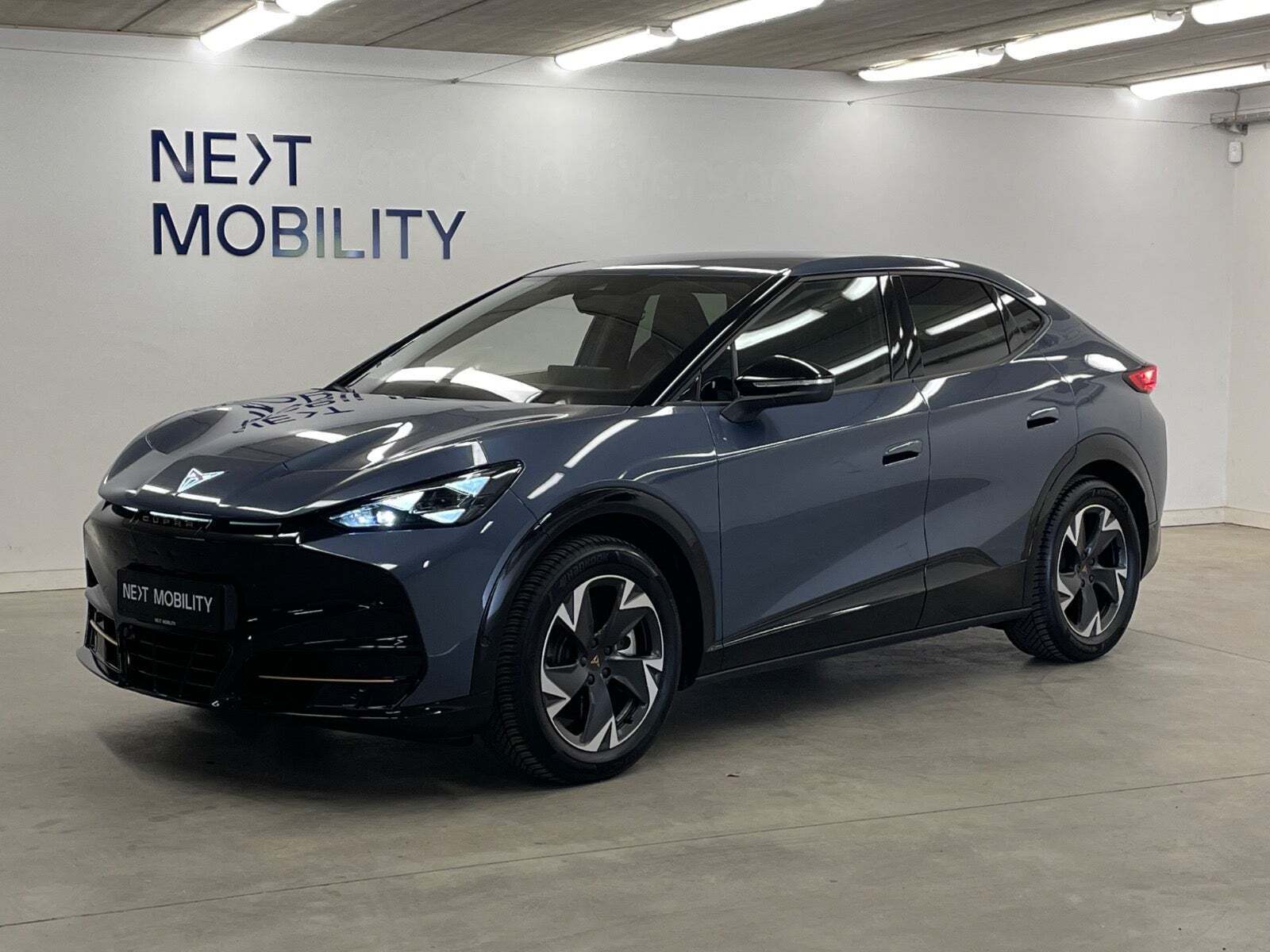 Cupra Tavascan 77 Endurance