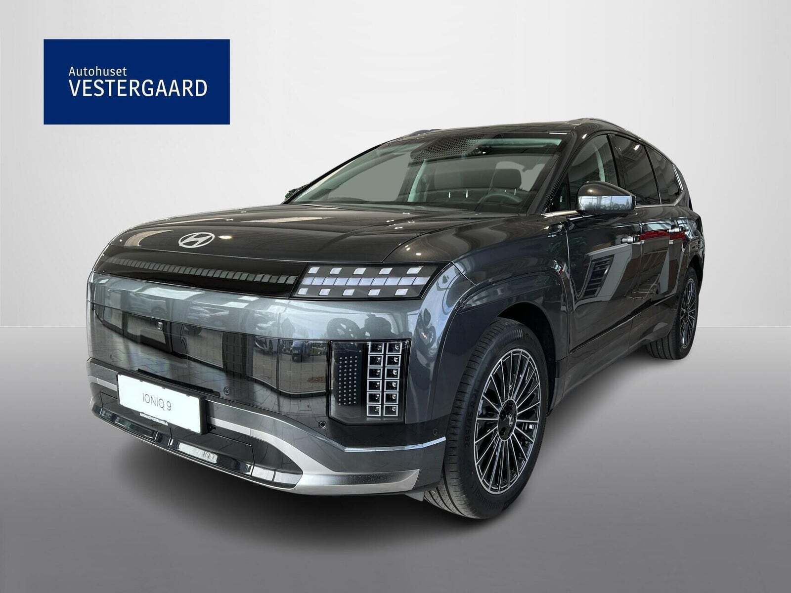 Hyundai Ioniq 9 110 Calligraphy 4WD 6prs