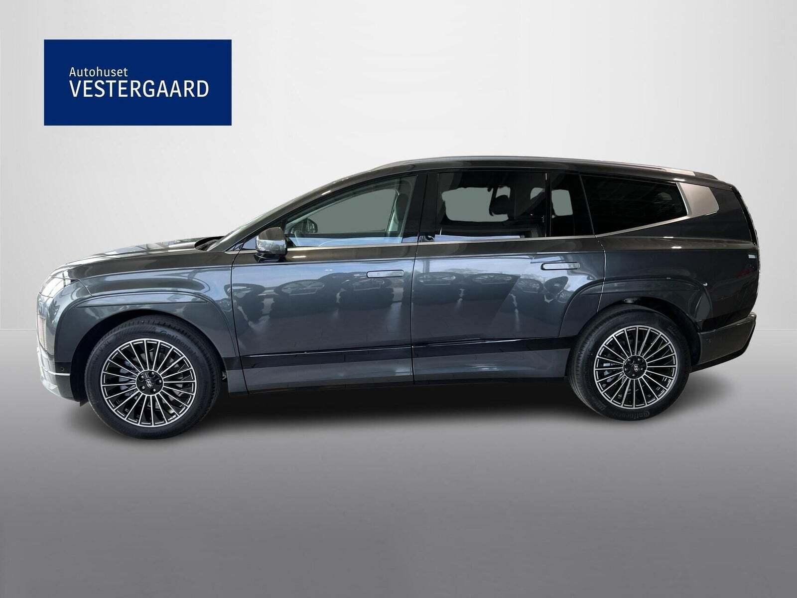 Hyundai Ioniq 9 110 Calligraphy 4WD 6prs