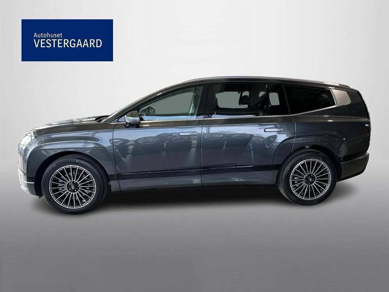 Hyundai Ioniq 9 110 Calligraphy 4WD 6prs