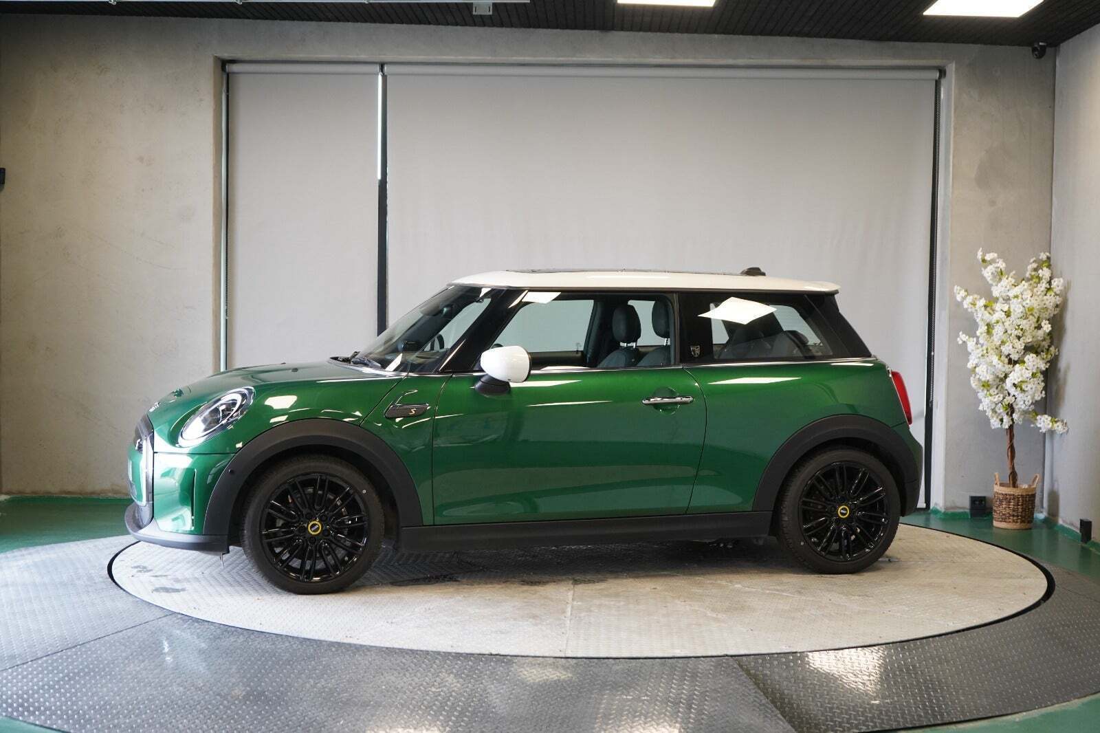 Mini Cooper SE Maximise