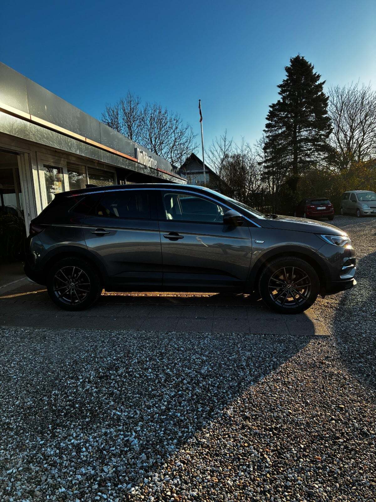 undefined Opel Grandland X fra 2019