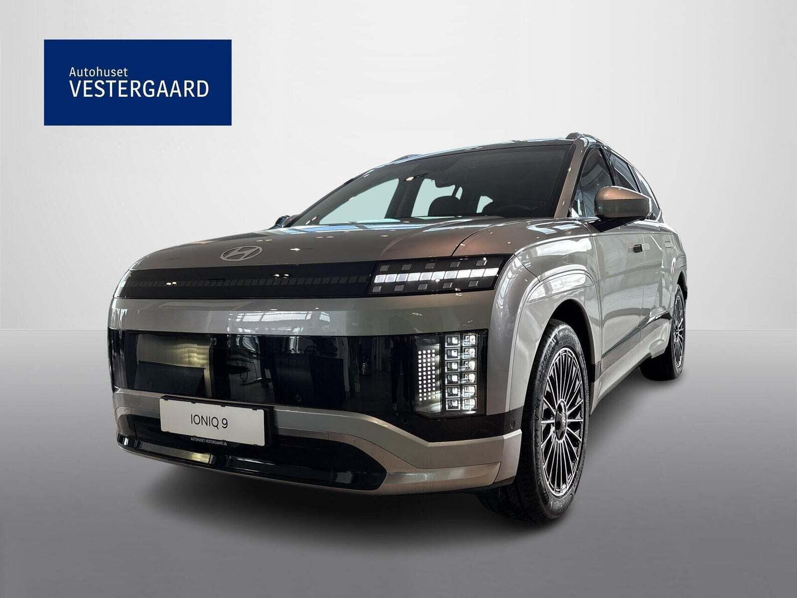 Hyundai Ioniq 9 110 Calligraphy Performance 4WD 7prs