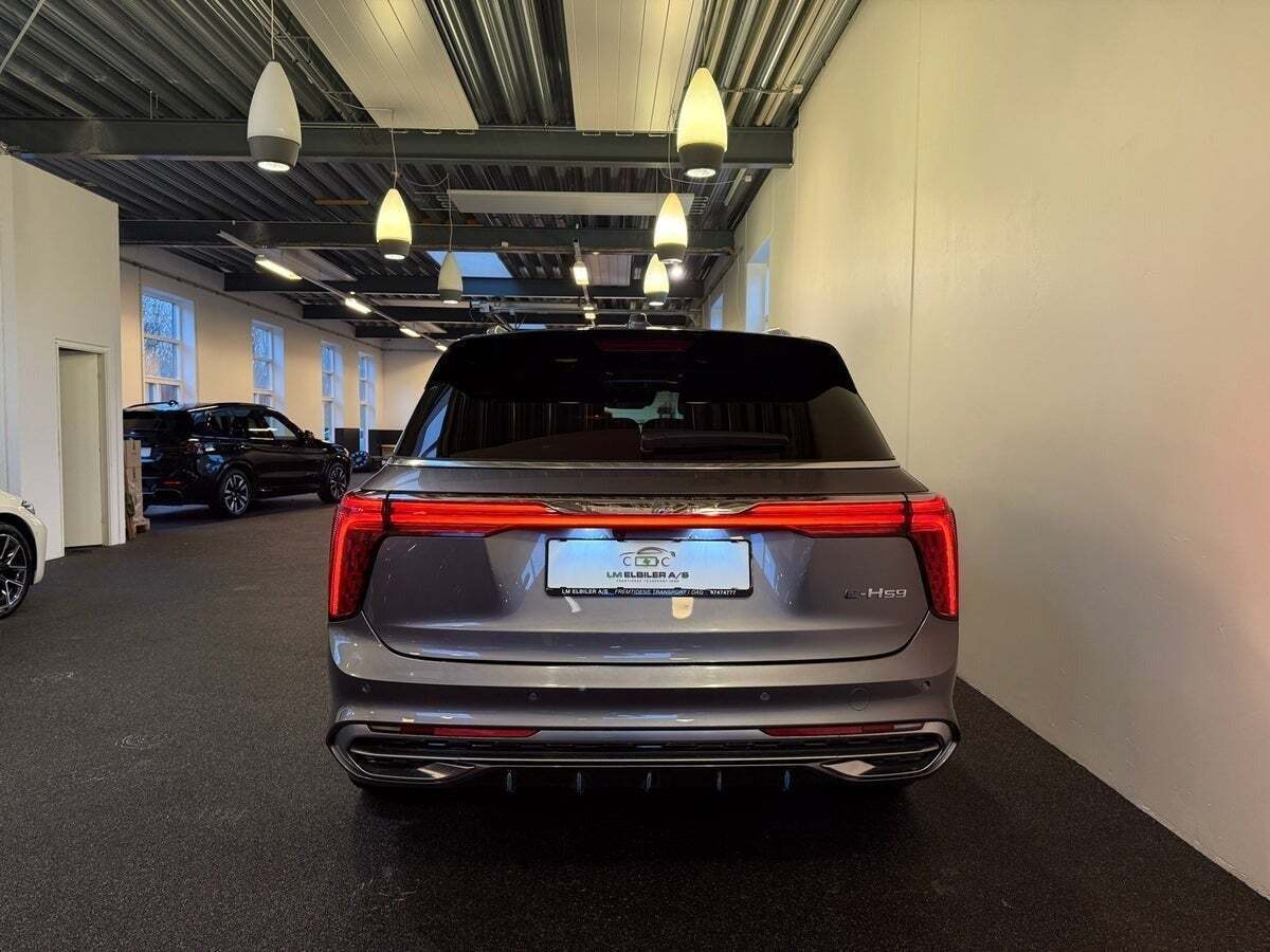 Hongqi E-HS9 99 Exclusive