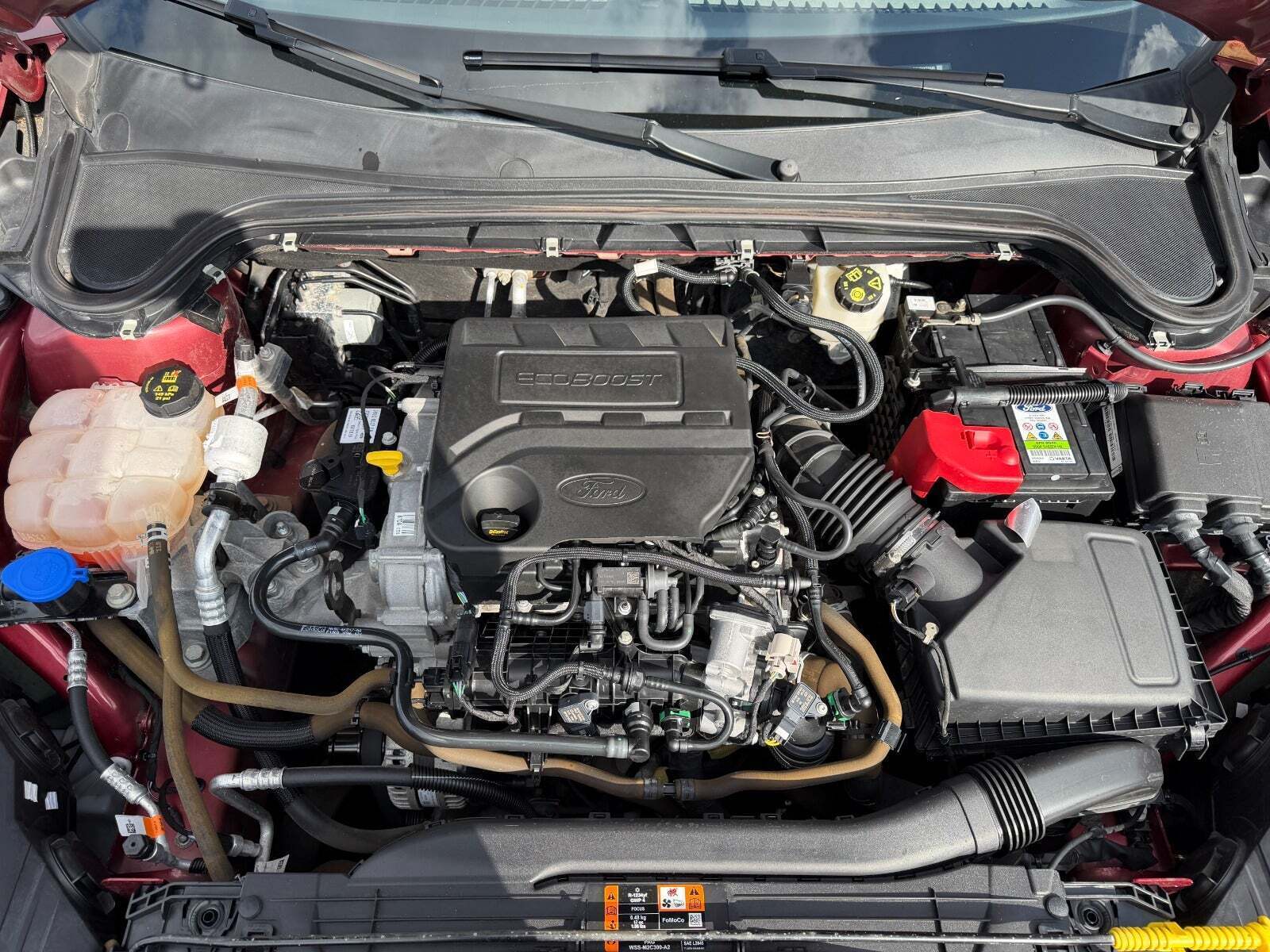 Rød Ford Focus fra 2019