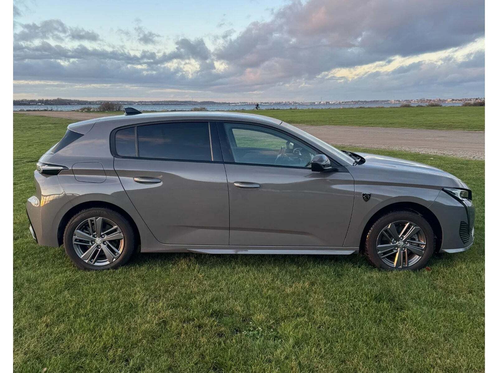 Peugeot E-308 54 First Edition