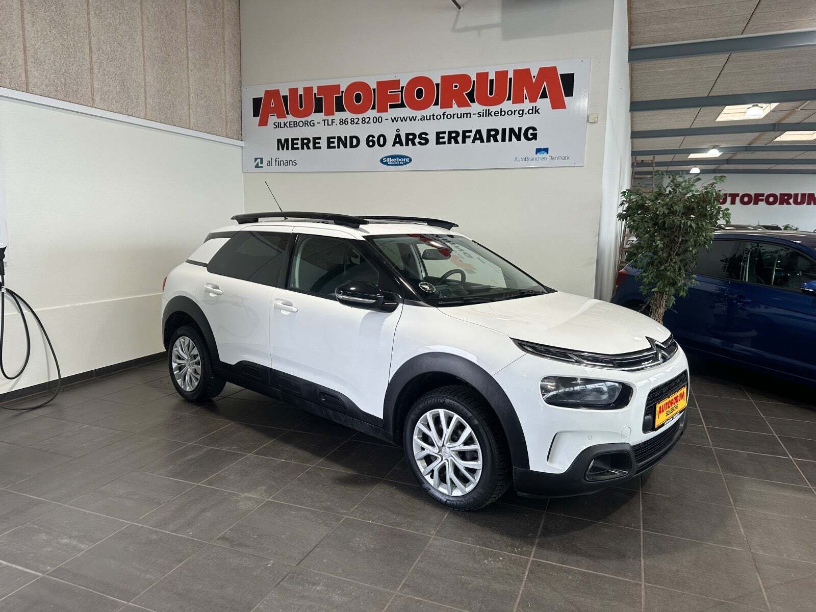 Citroën C4 Cactus 1,5 BlueHDi 100 SkyLine Van