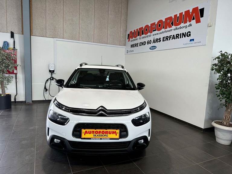 Citroën C4 Cactus 1,5 BlueHDi 100 SkyLine Van