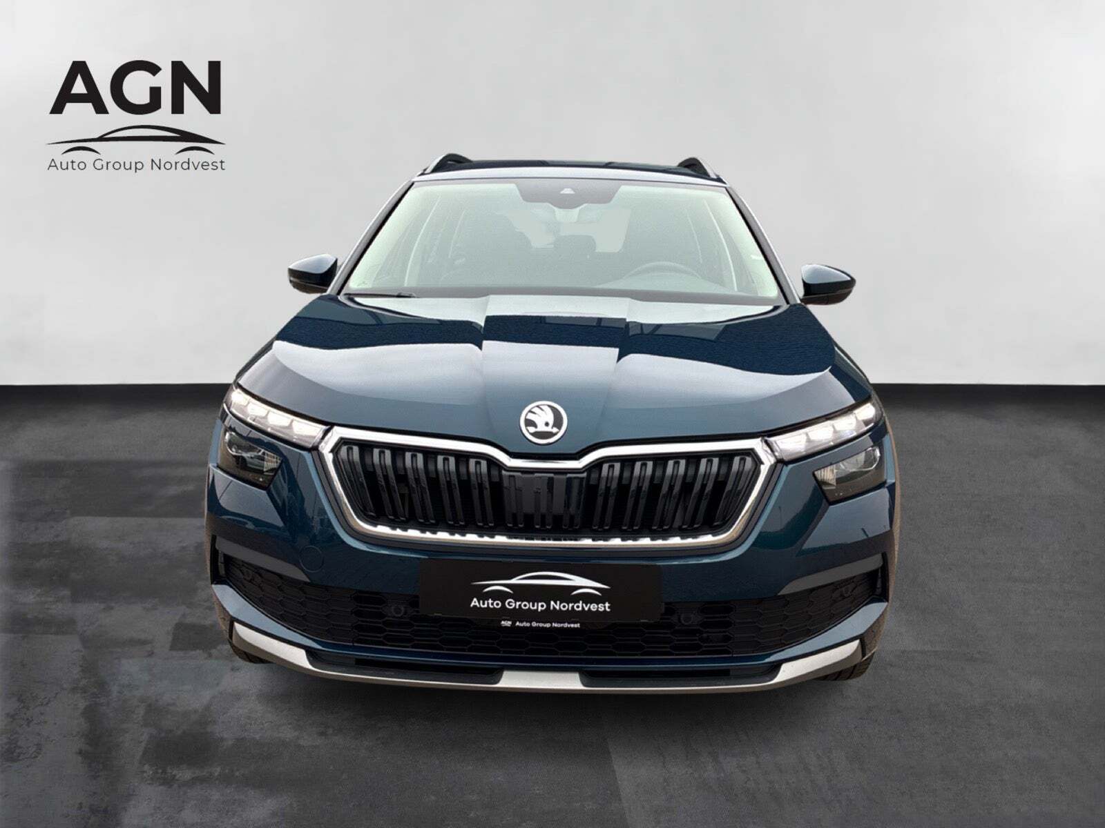 Skoda Kamiq 1,0 TSi 110 Dynamic DSG