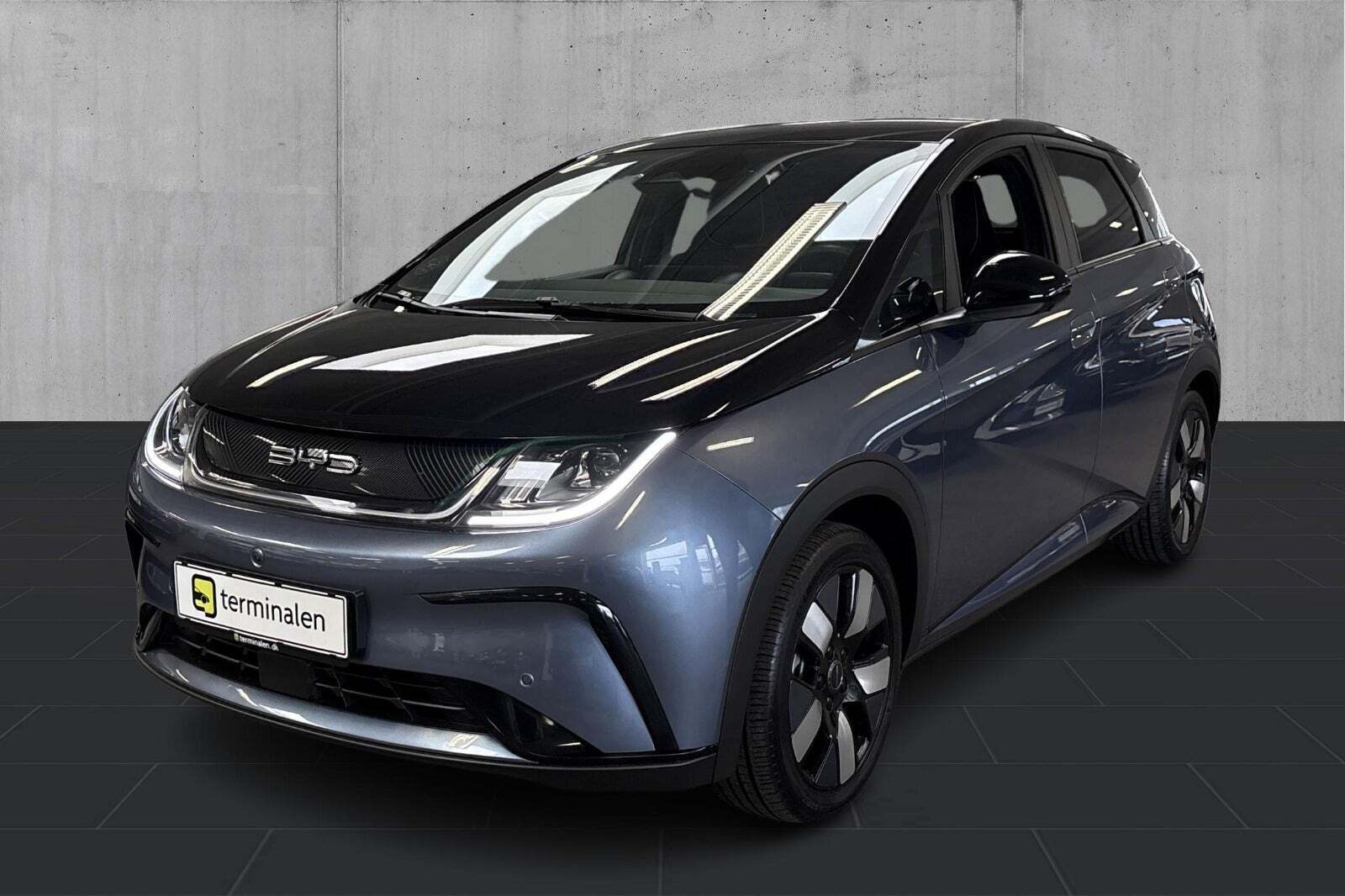 BYD Dolphin 60 Design