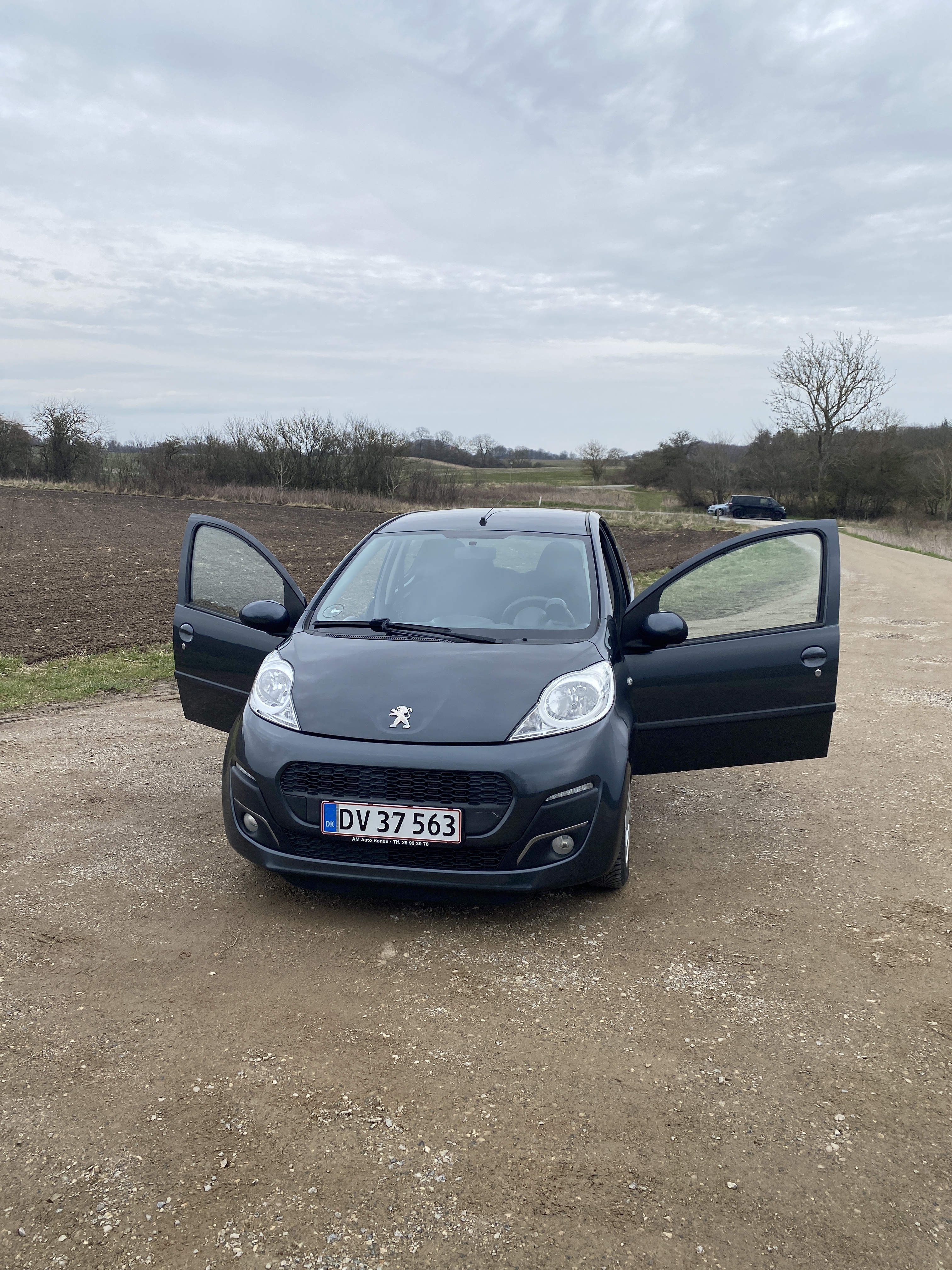 Grå Peugeot 107 fra 2014