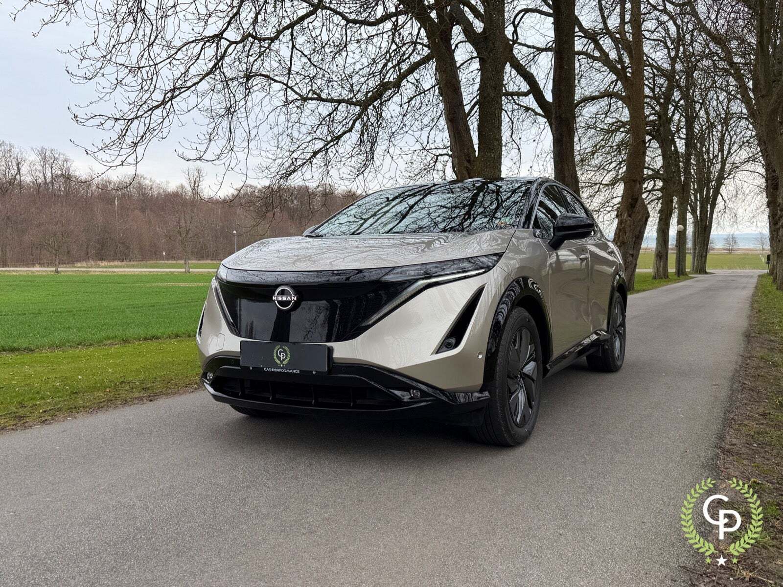 Nissan Ariya 87 Evolve