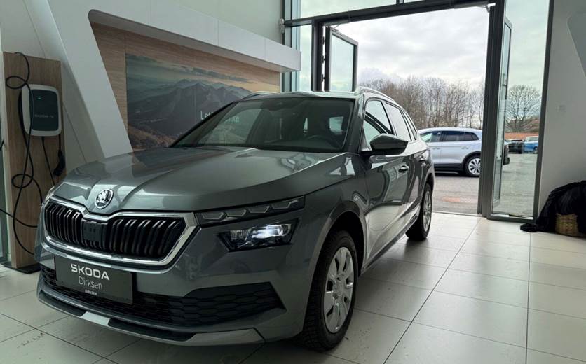 Skoda Kamiq 1,0 TSi 110 Life DSG