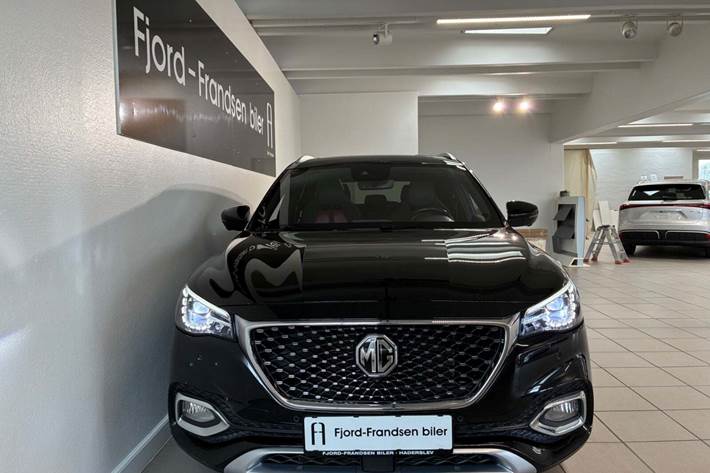 Sort MG EHS fra 2021