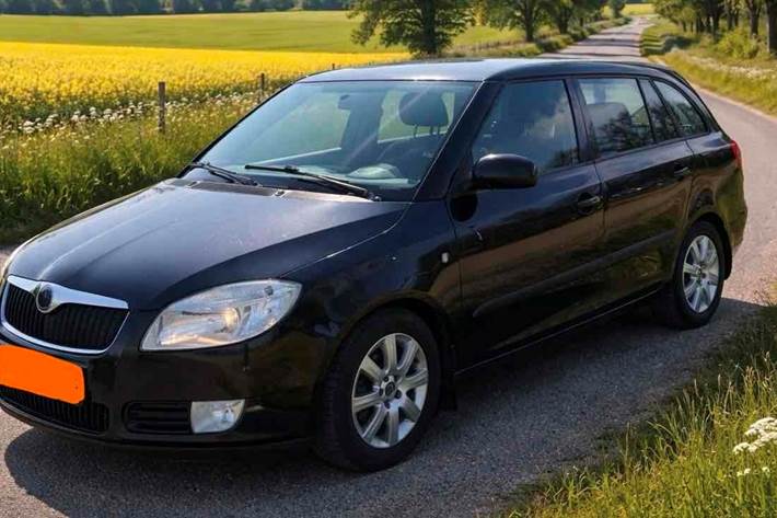 undefined Skoda Fabia fra 2010