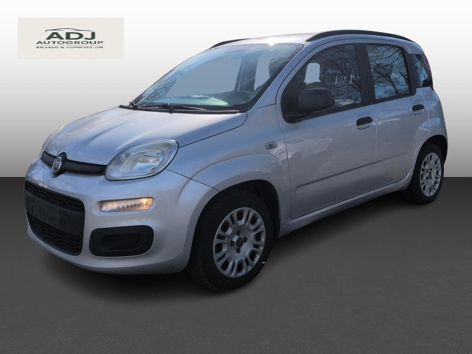Sølv Fiat Panda fra 2013