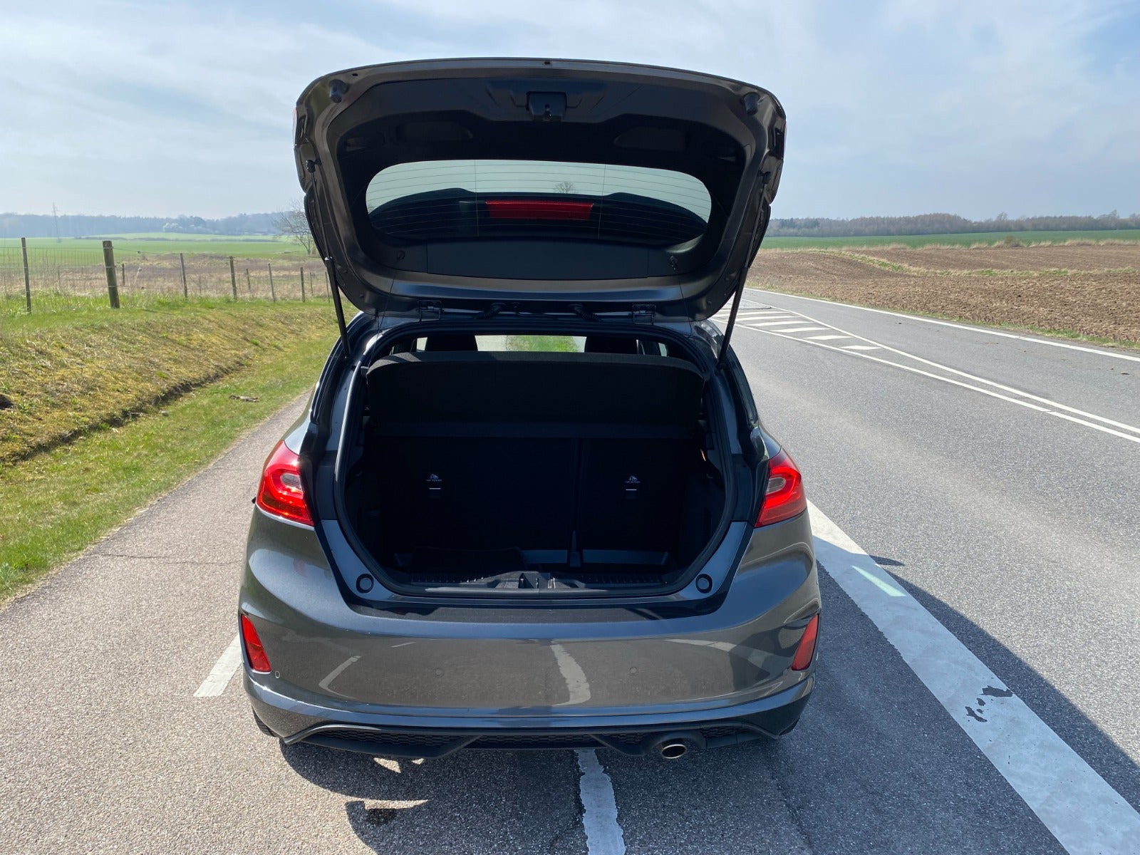 Grå Ford Fiesta fra 2021