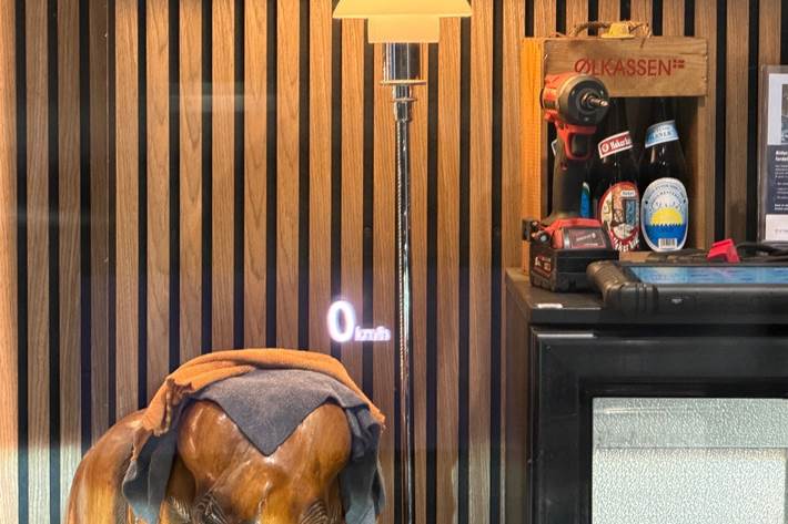 Grøn Audi A6 fra 2015