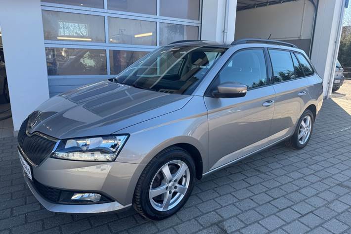 Grå Skoda Fabia fra 2019