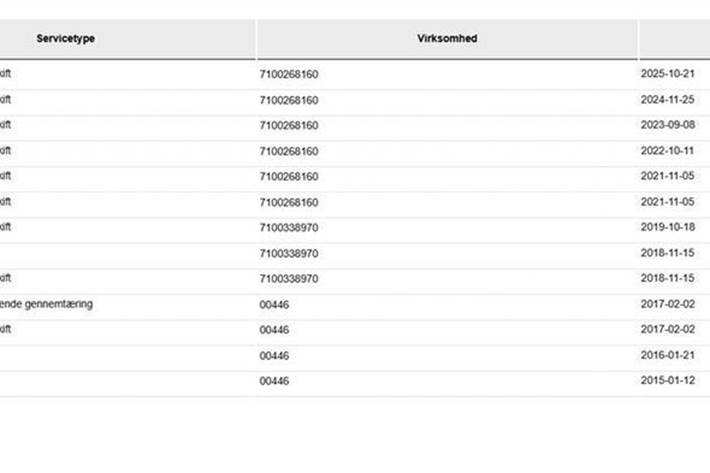 Hvid Skoda Citigo fra 2015