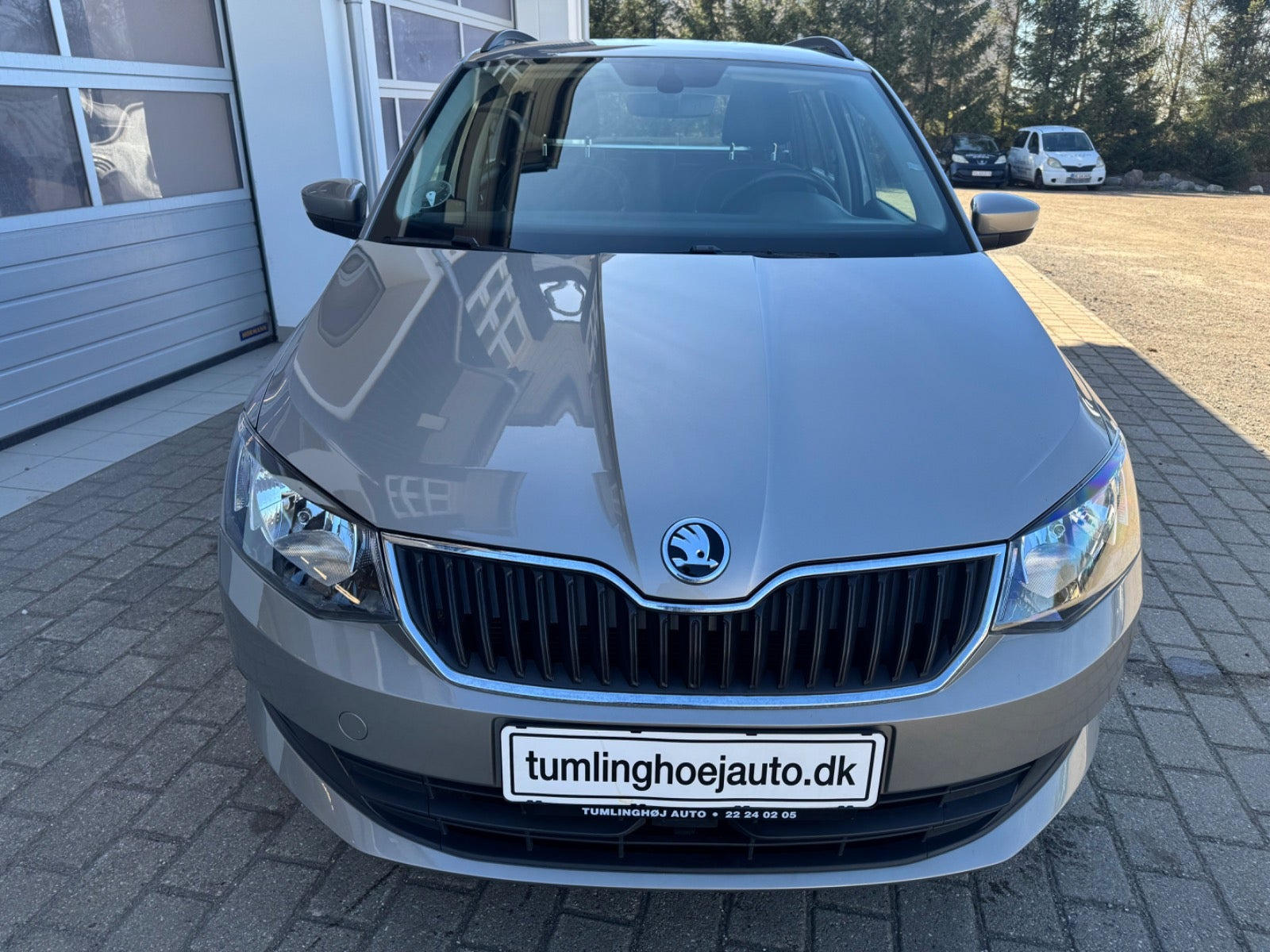 Grå Skoda Fabia fra 2016