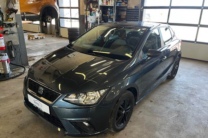 Grå Seat Ibiza fra 2019