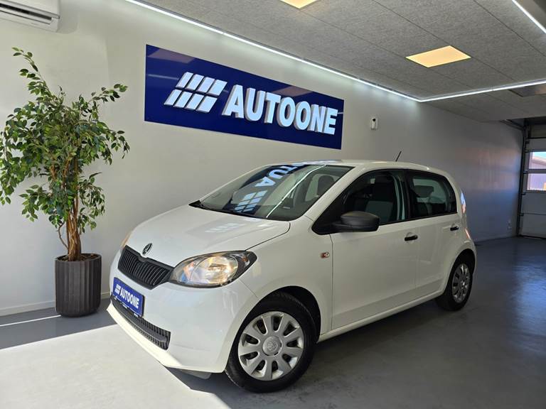 100Autotjek biler