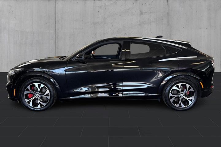 undefined Ford Mustang Mach-E fra 2023