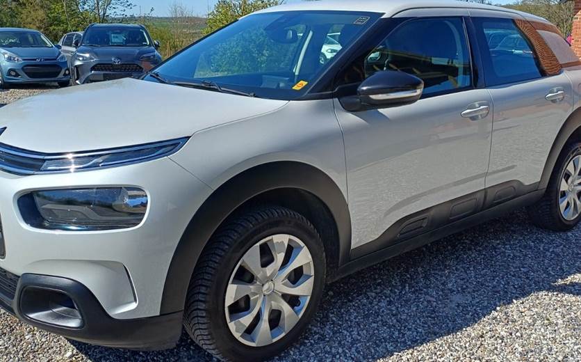 Citroën C4 Cactus 1,5 BlueHDi 100 Platinum Van