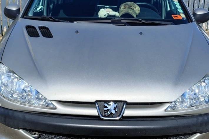 Grå Peugeot 206 fra 2004