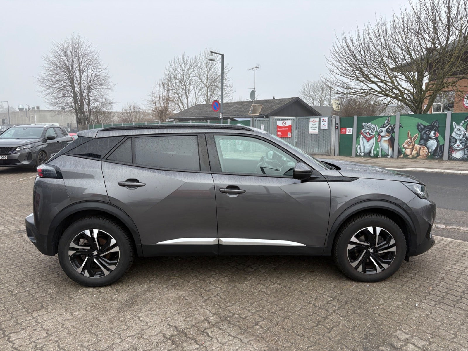 Rød Peugeot 2008 fra 2020