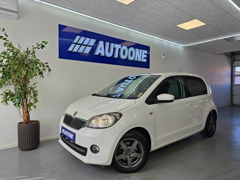 100Autotjek biler