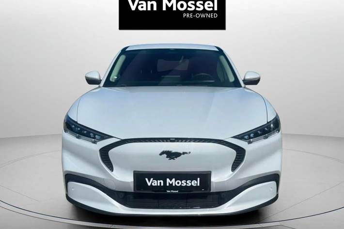 Hvid Ford Mustang Mach-E fra 2022