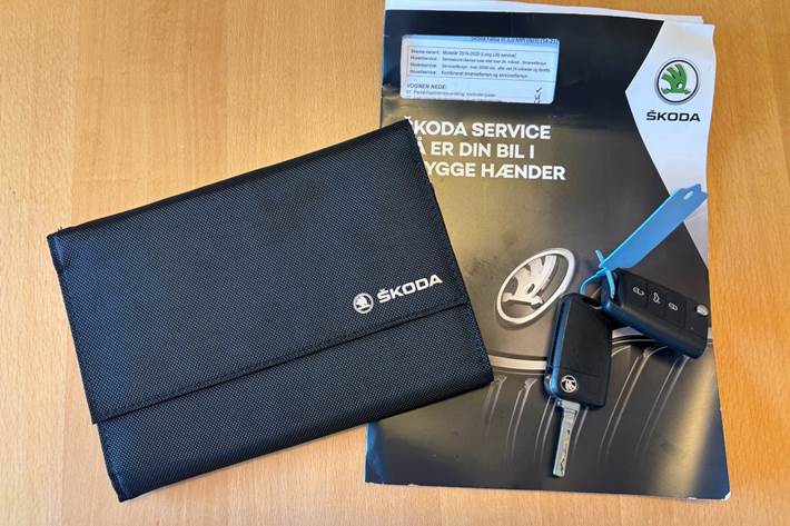 Grå Skoda Fabia fra 2019